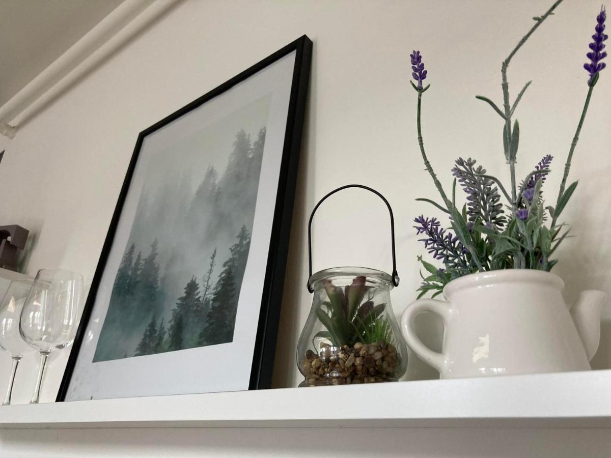 זביז'ינייץ Apartament Miodowa 9 מראה חיצוני תמונה